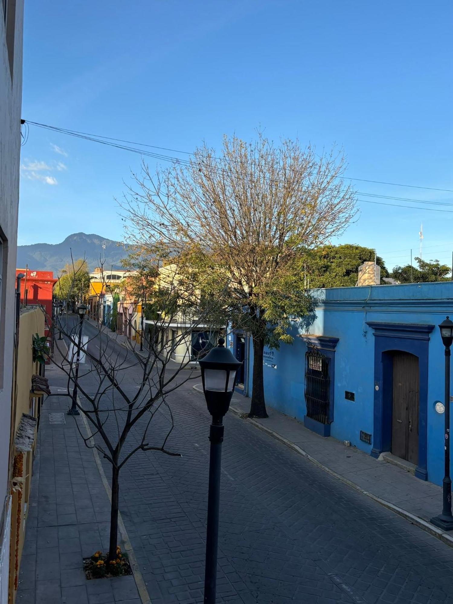 Апартаменти Departamento En El Centro De Oaxaca Екстер'єр фото
